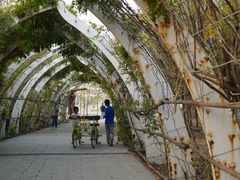 -天津东丽湖风景区