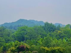 -青城山