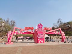 -桃花堤公园