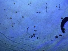 -江和美海洋公园