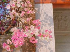 -深圳国际园林花卉博览园