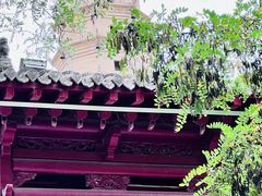 -白塔山公园