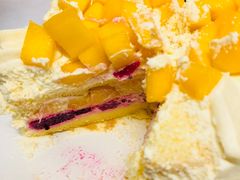 -维尔纳斯·生日蛋糕·动物奶油冰淇淋蛋糕(六里桥店)