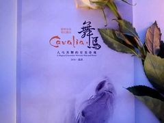 -cavalia·舞马