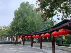 -大兴滨河森林公园