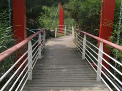 -天鹅湖体育公园