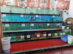-源海渔村·现捞海鲜(大角湾店)
