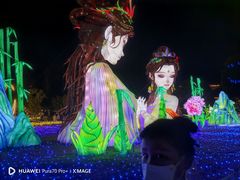 -洋湖国家湿地公园