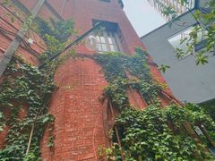 -Ocean's Table 欧舍