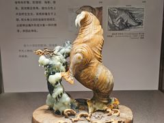 -大连自然博物馆