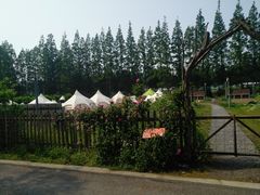 -前小桔亲子创意农场·草莓采摘·露营烧烤