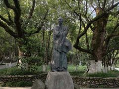 -八大山人梅湖景区