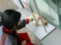 -上海市东方医院(总院)