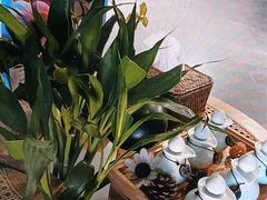 -施奈儿.洗头頭療.按摩SPA.采耳(上梅林店)