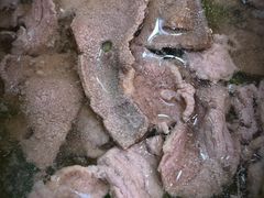 -江记普宁肠粉(国贸店)