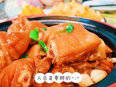 鲍汁猪手煲-大树餐厅(红旗街万达店)