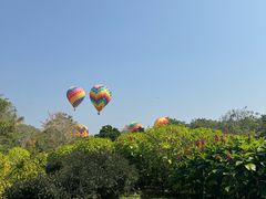 -中国科学院西双版纳热带植物园