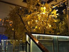 -丽晶大班SPA(大沽店)