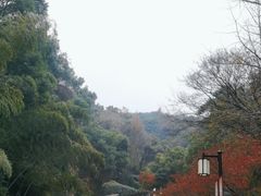 -岳麓山风景名胜区