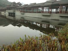 -重庆彩云湖湿地公园