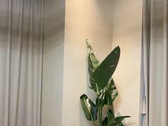 -杨氏青龙虾·羊蝎子(珠江路店)