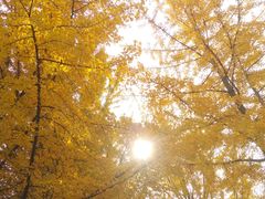 -辽东学院(南校区)