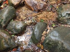 -汉仁宫·古法按摩·足道·SPA(沙井店)