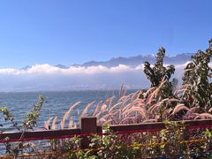 -小普陀