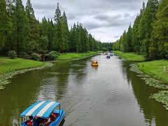 -黄海国家森林公园