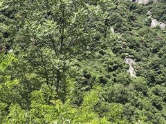 -秦岭终南山世界地质公园翠华山景区
