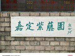 -嘉定紫藤园