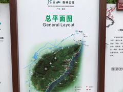 -羚羊峡古栈道森林公园
