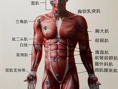 -通透堂中医·精准推拿(旗舰店)