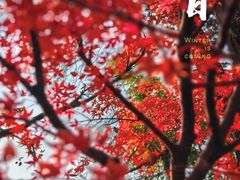 -龙华寺