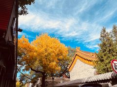 -黄瓦增福财神庙