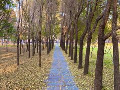 -长春市南湖公园