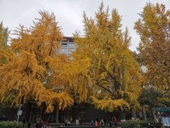 -四川大学(华西校区)