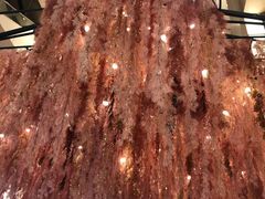 -新世界百货(明洞总店)