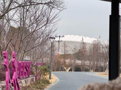 -贡湖湾湿地公园