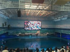 景点-多彩贵州城极地海洋世界