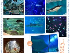 -珠海长隆海洋王国