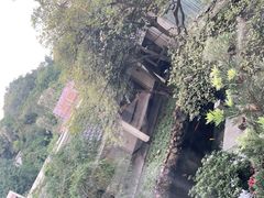 -寻味顺德·顺峰山庄(大良店)