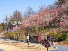 -南京珍珠泉风景区
