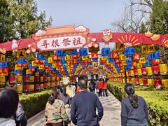 -大槐树寻根祭祖园