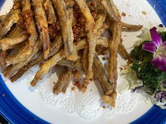 -九记路边鸡(穗盐路店)