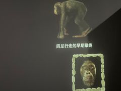 -浙江自然博物院(杭州馆)