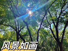 -千佛山风景名胜区