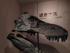 -自贡恐龙博物馆