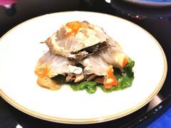 -高佳庄·舟山海鲜(海景旗舰店)