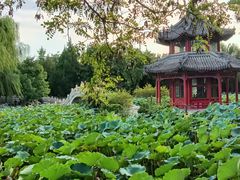 -莲池书院博物馆